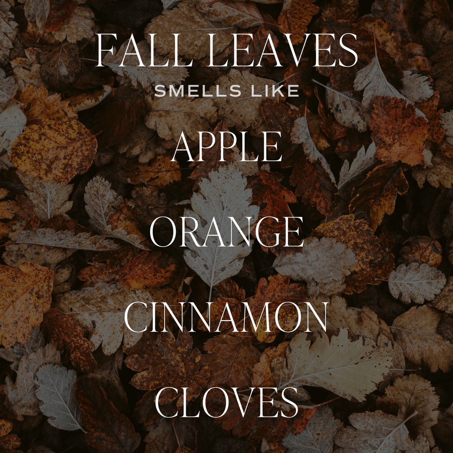 Fall Leaves Candle – Cozy Autumn Scent with Apple, Orange, Cinnamon & Cloves (9oz)