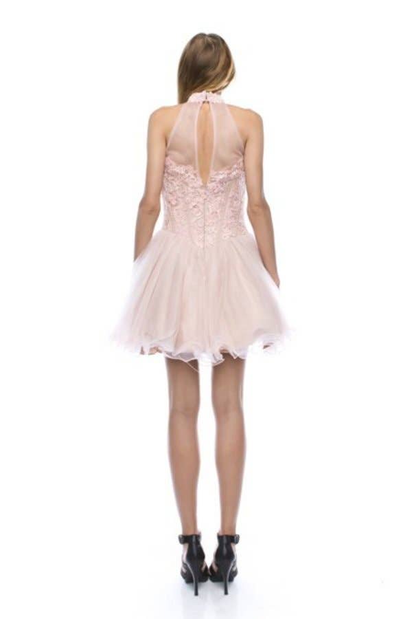 Floral Lace Embroidered A-Line Short Dress with Tulle Skirt