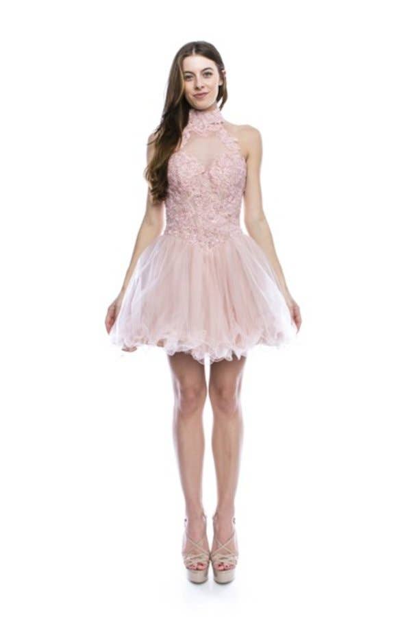 Floral Lace Embroidered A-Line Short Dress with Tulle Skirt