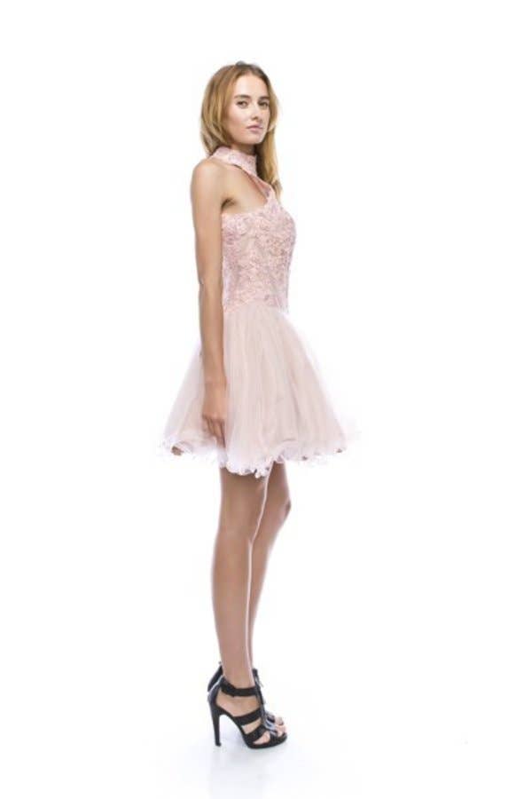 Floral Lace Embroidered A-Line Short Dress with Tulle Skirt