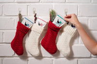 Shower Steamer Minis