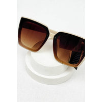 Ana Fashion Shades Sunglasses