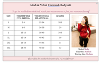 Micha Mesh & Velvet Crewneck Bodysuit